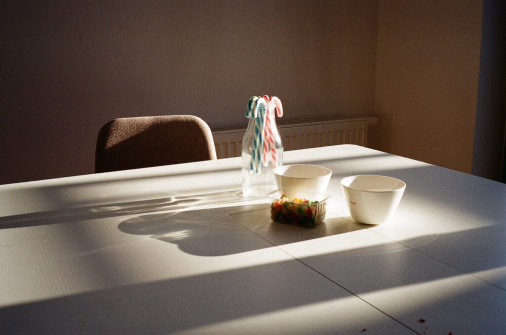 Joanna Śmieja, The Long Indoors